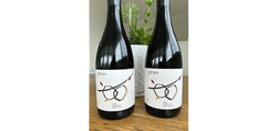 Shiraz Pack - 2019 & 2020 (12 Bottles)